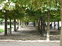 %_tempFileName2014-08-29_07_Tuileries_Garden-8291739%