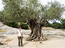 %_tempFileName2014-09-21_01_Pont_du_Gard-9211298%