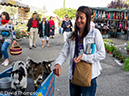 %_tempFileName2014-09-23_01_Vaison_la_Romaine-9231377%
