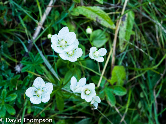%_tempFileName2014-09-04_Chamonix_to_Les_Contamines-9041954%