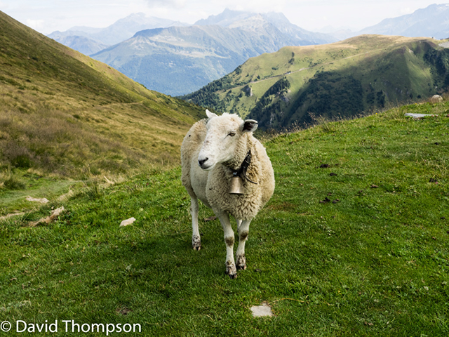 %_tempFileName2014-09-04_Chamonix_to_Les_Contamines-9041974%
