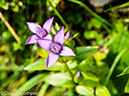 %_tempFileName2014-09-05_01_Les_Contamines_to_Refuge_Balme-9052009%