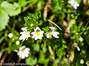 %_tempFileName2014-09-05_01_Les_Contamines_to_Refuge_Balme-9052010%