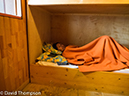 %_tempFileName2014-09-05_03_Refuge_La_Balme-9052028%