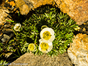 %_tempFileName2014-09-06_Refuge_La_Balme_to_Refuge_des_Mottets-9062050%