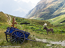 %_tempFileName2014-09-06_Refuge_La_Balme_to_Refuge_des_Mottets-9062078%
