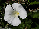 %_tempFileName2014-09-08_Courmayeur_Free_Day-9080871%