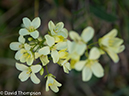 %_tempFileName2014-09-09_Courmayeur_to_La_Fouly-9090883%
