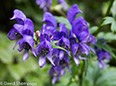 %_tempFileName2014-09-09_Courmayeur_to_La_Fouly-9090898%