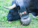 %_tempFileName2014-09-12_Trient_to_Argentiers-9120985%
