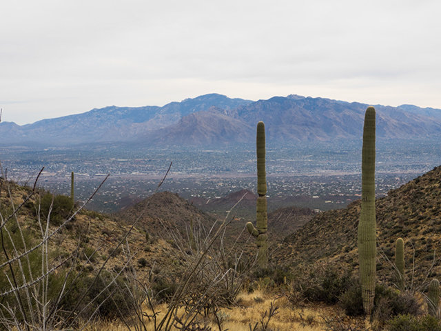 %_tempFileName2014-12-06_01_King_Canyon_Trail_to_Wasson_peak-061758%