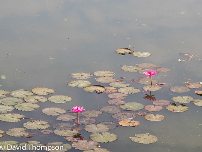 %_tempFileName2014-01-17_01_Siem_Reap_Angkor_Wat-4%