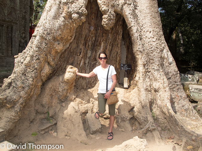 %_tempFileName2014-01-17_03_Siem_Reap_Ta_Phrom_Temple-5%