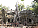 %_tempFileName2014-01-17_03_Siem_Reap_Ta_Phrom_Temple-10%