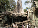 %_tempFileName2014-01-17_03_Siem_Reap_Ta_Phrom_Temple-12%