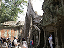 %_tempFileName2014-01-17_03_Siem_Reap_Ta_Phrom_Temple-17%