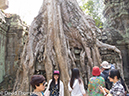 %_tempFileName2014-01-17_03_Siem_Reap_Ta_Phrom_Temple-18%