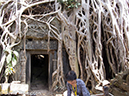 %_tempFileName2014-01-17_03_Siem_Reap_Ta_Phrom_Temple-27%