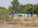 %_tempFileName2014-01-19_01_Siem_Reap_Chong_Kneash_Floating_Village-13%