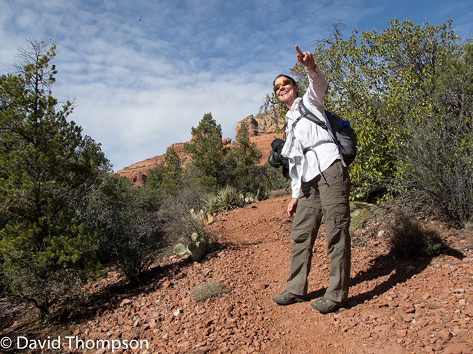 %_tempFileName2014-02-01_02_Sedona_Wilson_Mountain_Trail-4%