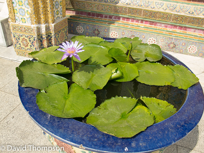 %_tempFileName2014-01-03_02_Bangkok_Grand_Palace-26%