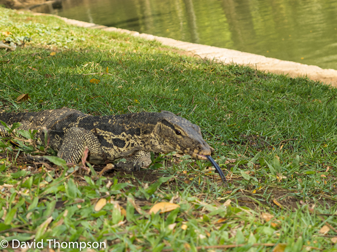 %_tempFileName2014-01-06_01_Bangkok-12%