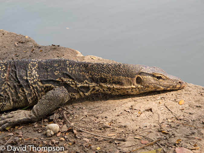 %_tempFileName2014-01-06_01_Bangkok-14%