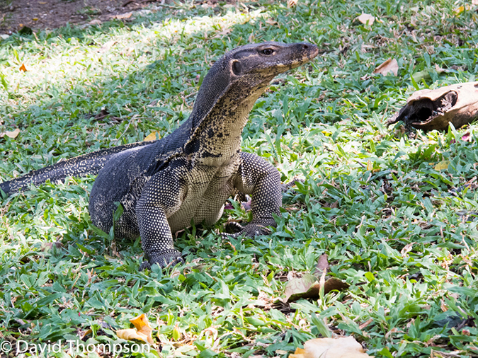 %_tempFileName2014-01-06_01_Bangkok-18%