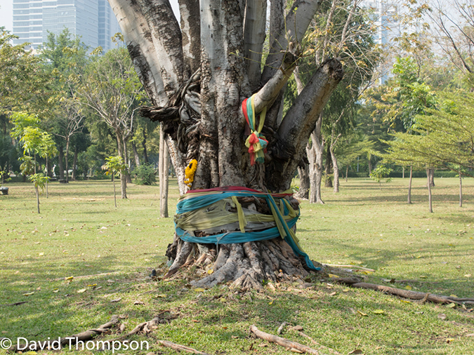 %_tempFileName2014-01-06_01_Bangkok-2%