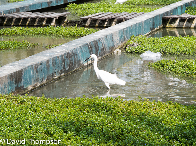 %_tempFileName2014-01-06_01_Bangkok-3%