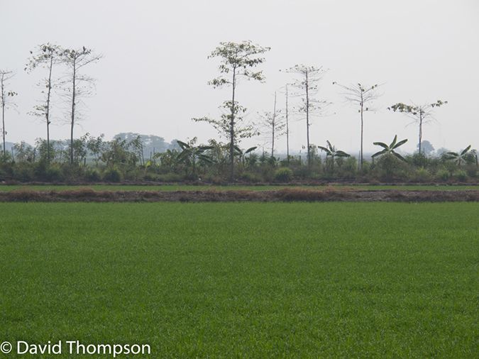 %_tempFileName2014-01-07_01_Bangkok_Ayutthaya_Bike_Ride-48%