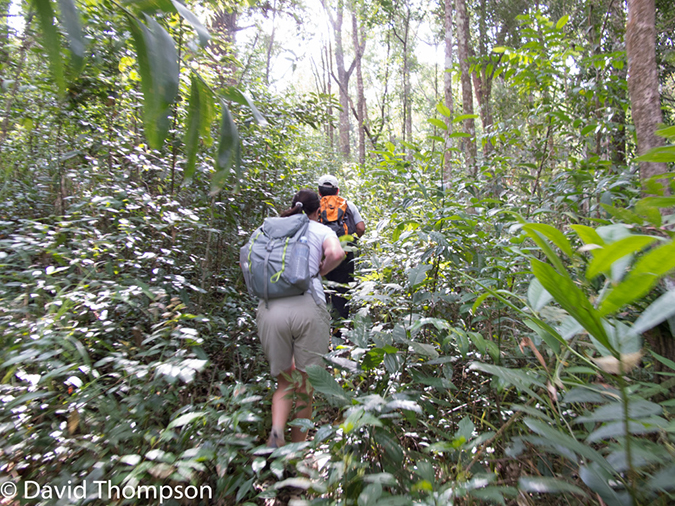 %_tempFileName2014-01-10_01_Chiang_Mai_High_Mountain_Hike_Maetang-14%