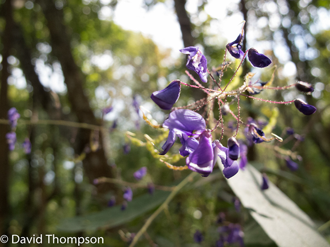 %_tempFileName2014-01-15_02_Chiang_Mai_Hiking_Mae_Taeng_District-18%