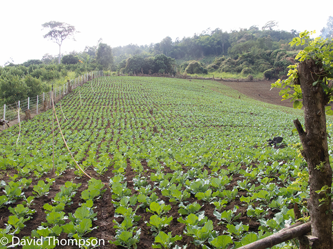 %_tempFileName2014-01-15_02_Chiang_Mai_Hiking_Mae_Taeng_District-56%