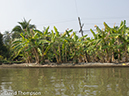 %_tempFileName2014-01-05_01_Bangkok_Damnoensaduak_Floating_Market_Bike_Ride-23%