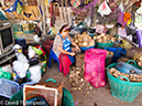 %_tempFileName2014-01-05_01_Bangkok_Damnoensaduak_Floating_Market_Bike_Ride-51%