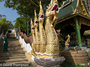 %_tempFileName2014-01-10_01_Chiang_Mai_High_Mountain_Hike_Maetang-10%