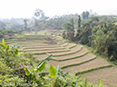 %_tempFileName2014-01-10_01_Chiang_Mai_High_Mountain_Hike_Maetang-47%