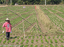 %_tempFileName2014-01-11_02_Chiang_Mai_Lanna_Country_Side_Bike_Ride-34%