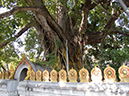 %_tempFileName2014-01-12_01_Chiang_Mai-5%