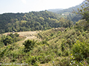 %_tempFileName2014-01-13_02_Chiang_Mai_Karen_VIllage_Doi_Inthanon_National_Park-15%