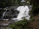 %_tempFileName2014-01-13_02_Chiang_Mai_Karen_VIllage_Doi_Inthanon_National_Park-8%