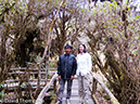 %_tempFileName2014-01-13_03_Chiang_Mai_Doi_Inthanon_National_Park-5%