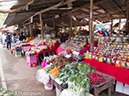 %_tempFileName2014-01-13_03_Chiang_Mai_Doi_Inthanon_National_Park-57%