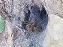 %_tempFileName2014-01-15_02_Chiang_Mai_Hiking_Mae_Taeng_District-24%