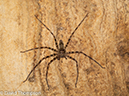 %_tempFileName2014-01-15_02_Chiang_Mai_Hiking_Mae_Taeng_District-65%
