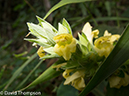%_tempFileName2014-01-15_02_Chiang_Mai_Hiking_Mae_Taeng_District-73%