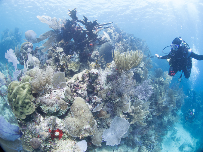 %_tempFileName2014-02-13_02_Utila_AIrport_Caves-42%