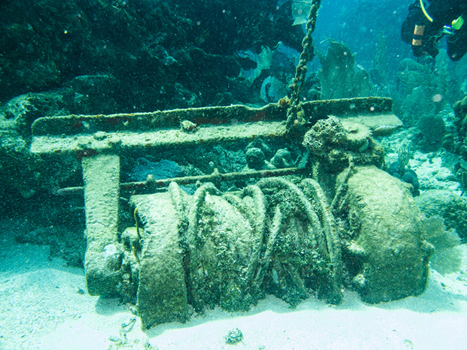 %_tempFileName2014-02-14_02_Utila_Black_Coral_Wall-2%