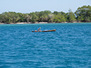 %_tempFileName2014-02-11_02_Utila_Deep_Blue_Dive_Boat-6%